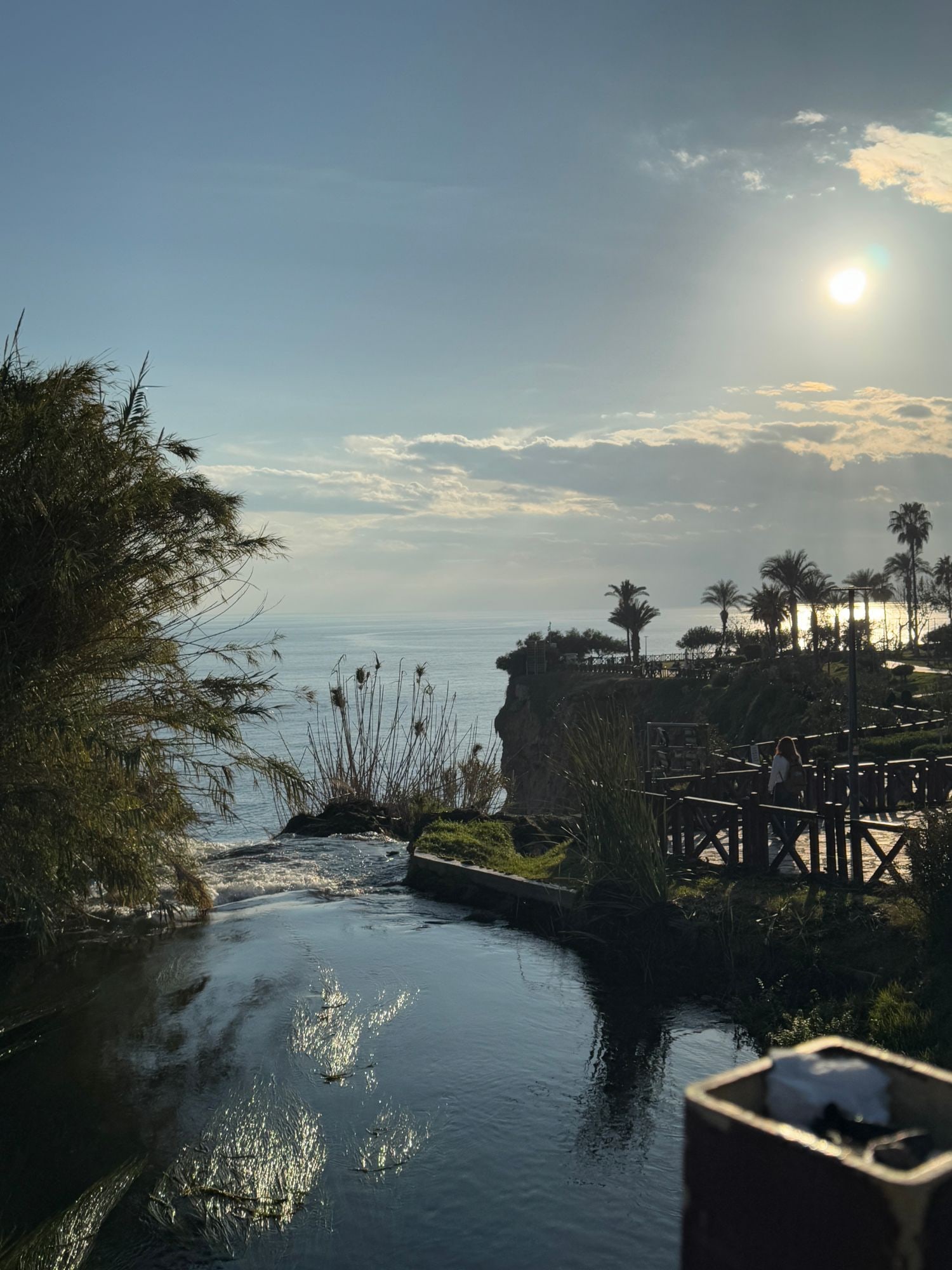 A stream running to a cliff edge above the sea at golden hour, with palm trees and a boardwalk on the right