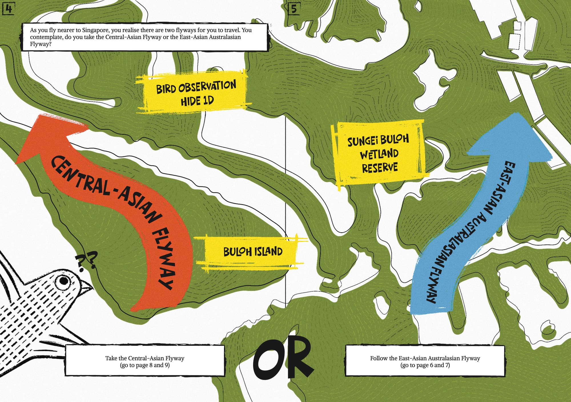 Booklet spread: a red arrow to the Central-Asian Flyway and a blue arrow to the East Asian-Australasian Flyway, with the choice ‘OR’ between them